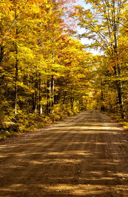 An Autumn Walk