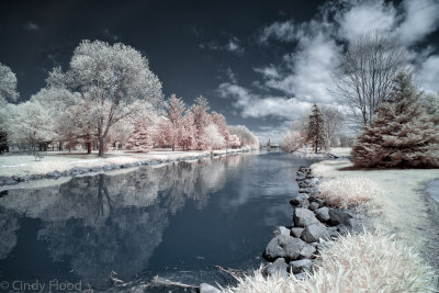 Spring in the park IR-1.jpg