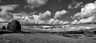 The Culm Valley