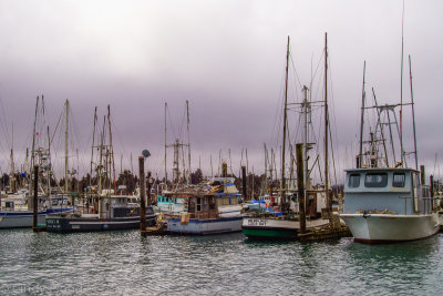 Charleston Docks, Oregon in the fog