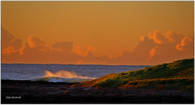 This is a lovely walk up to Barrack Point.
It is a popular spot for surfers.