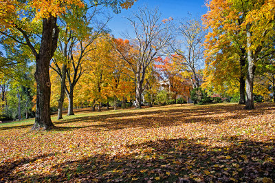 Autumn, Franklin, TN