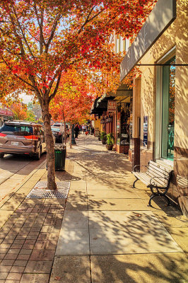 Street Scene