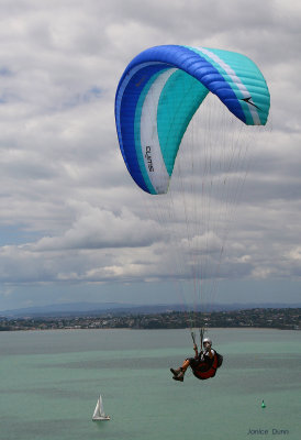 Paragliding from North Head / Maungauika at Devonport, Auckland.