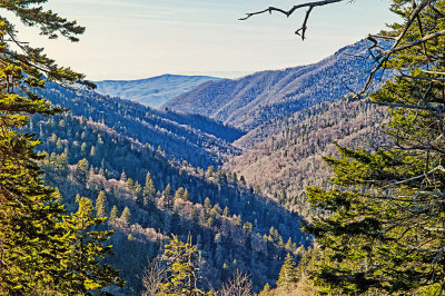 Newfound Gap