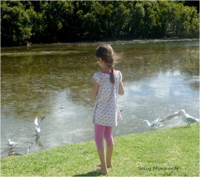 My friends Grand Daughter feeding the seagulls.
This was taken in front of my cabin.