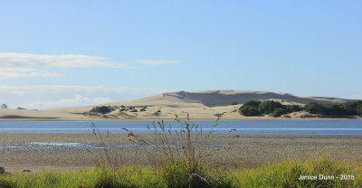 The giant sand dunes dominate the seaward side of the Mangawhai harbour 
and are also fronted on both sides by long stretches of beach.