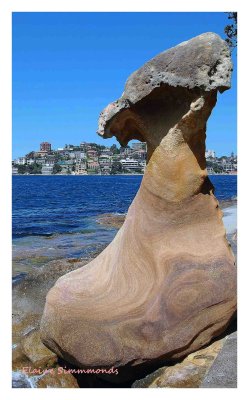  Taken on Clarke Island with Sydney homes in the background.
Centuries ago ingenious indigenous Australians cut grooves in the sandstone to trap fish when the tide receded.
Meanwhile, the white colonists were starving on either side of the harbour!!
