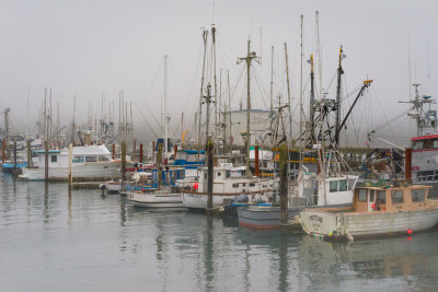 Charleston Docks in the fog, Coos Bay, OR