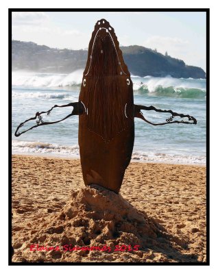 This whale is part of an art installation at Avoca Beach.
In winter The Five Lands Festival pays homage to indigenous culture.
The whale is an integral focus of this celebration.
The wales are migrating north at this time.
