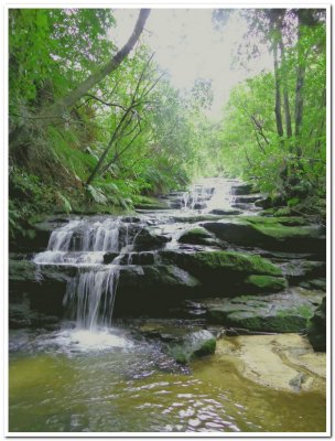 I spent a few days at the Blue Mountains
recently and this was taken on an overcast rainy day.
A beautiful escape!