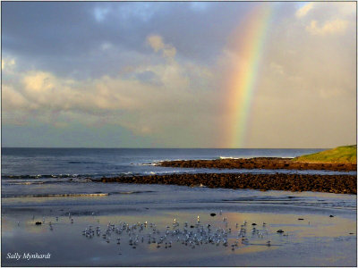 This shot of the rainbow over the sea at Warilla Beach was taken late afternoon after a storm
It was magic to see!