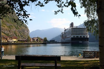 8-22-2015 Flam and Eurodam from the park