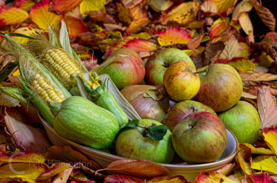 Harvest Fayre