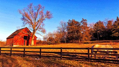 Late Afternoon, Franklin,TN