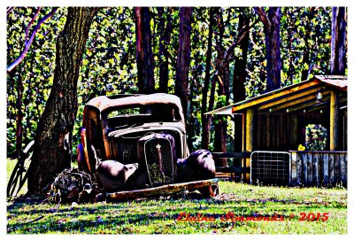 Poor old truck
spending its final days
in the shade of an
old gum tree.