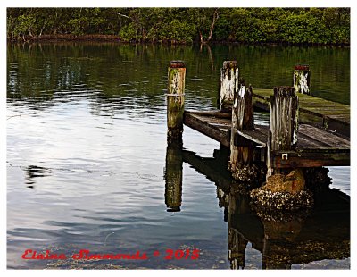 Taken on an overcast day,
and frustrated that I hadn't
taken any photographs for a while,
I went out in the rain and found this scene.