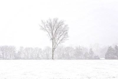 Alone in the Storm