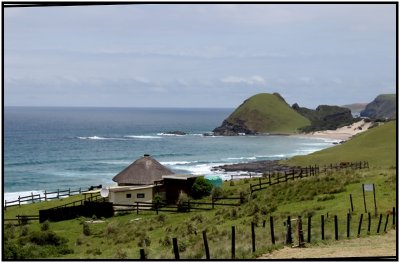 This shot was taken from our cottage at Hole In The Wall in the Eastern Cape.
The Land is owned by the local blacks and the cottages have been leased by white families for 100 years.
It is a very rural spot and the locals make their living by diving for fish and yummy crayfish.