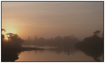 This shot was taken outside my cabin at sunrise.