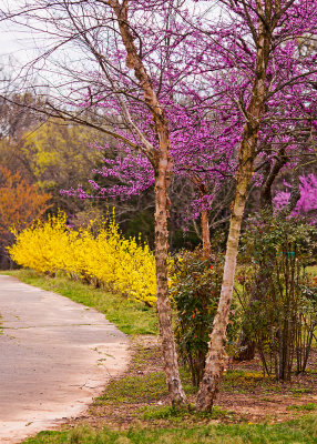 Ahhhhh...Spring!