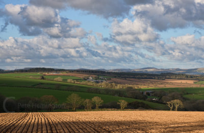 Last light in a rural scene in Mid Cornwall