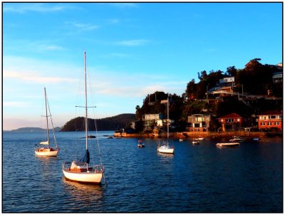 This shot was taken whilst taking a ferry ride to Palm Beach.It is a beautiful bay and famous for the TV series, Home and Away.It is an easy walk from this bay to the beach on the otherside.