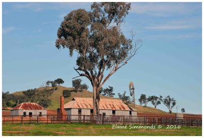 I went to Cowra, south of Sydney, 
last week with a friend.
We went out of town to where
she had grown up.  On the way
back, I spotted this interesting 
group of buildings (or what is left of them).