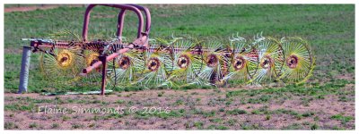 Whilst visiting the Cowra Region with a friend, 
we saw this in the field where she had lived,
just 30 minutes outside Cowra.  
I thought it look like an art installation but I was 
assured it is a working piece of farm equipment. 