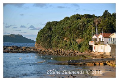 This photograph wa taken at 
Terrigal Haven 
This is a popular spot for fishing, scuba diving, 
picnics and outings.
