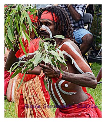 In July, 2016, I had the pleasure of attending
The CIAF (Cairns Indigenous Art Fair).
This gentleman was a dancer in one of the groups.
He had great skills and charisma.
