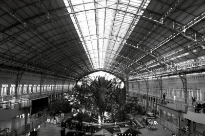 Ceiling, Atocha Train Station