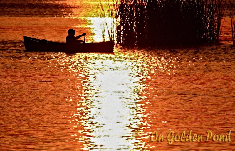 ON GOLDEN POND
