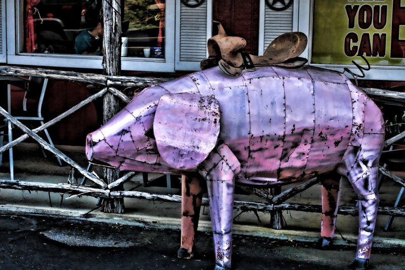 RIDE A PINK PIGGY!