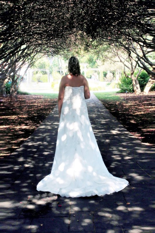 BRIDE UNDER THE TREE ARCH