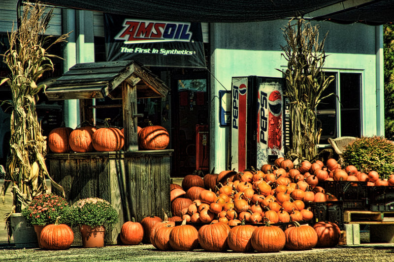 PUMPKINS FOR SALE 