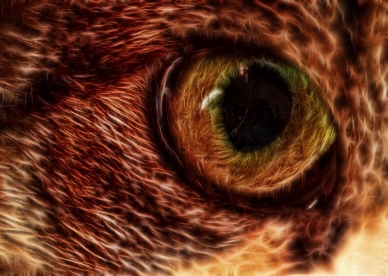 CLOSE UP