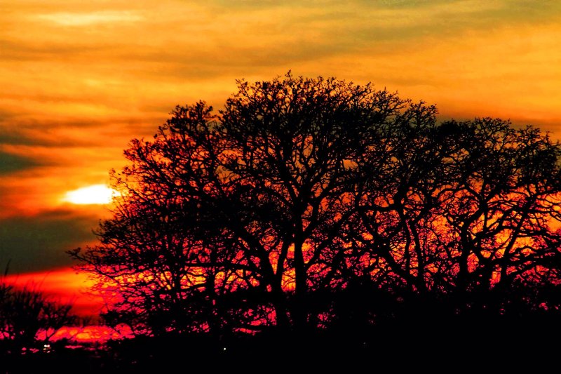 JUST ANOTHER DECEMBER SUNSET