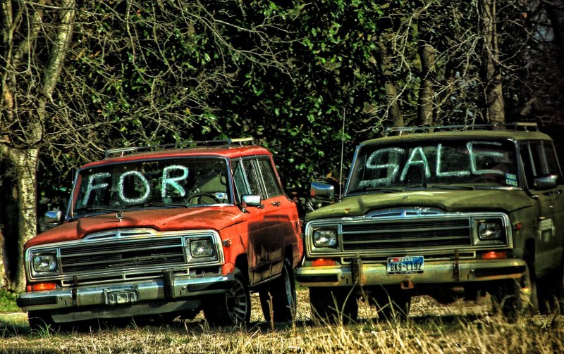 PAIR FOR SALE