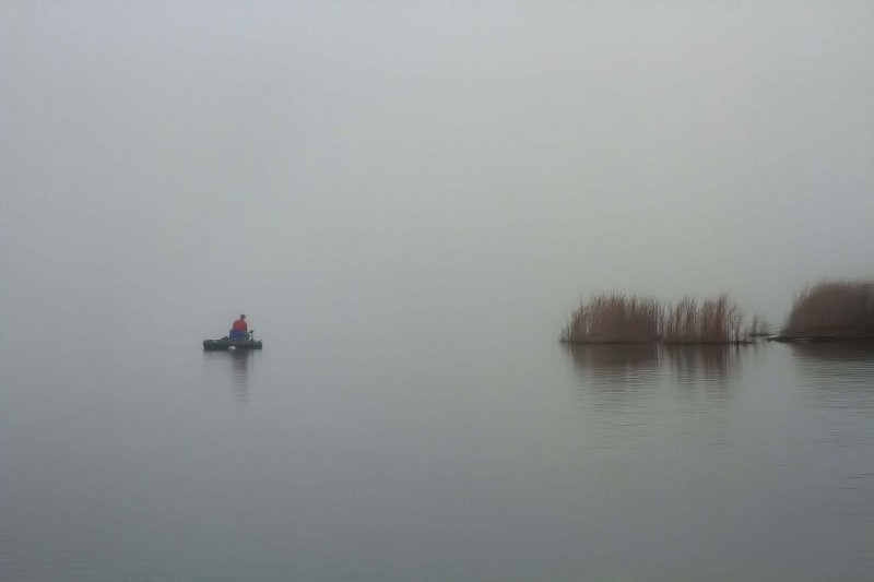 FOG FISHING