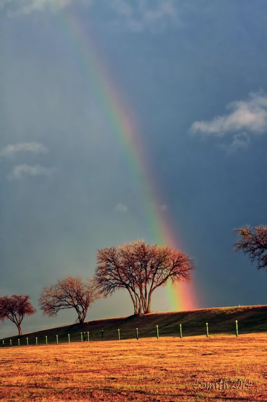 RAINBOW AFTER THE RAIN