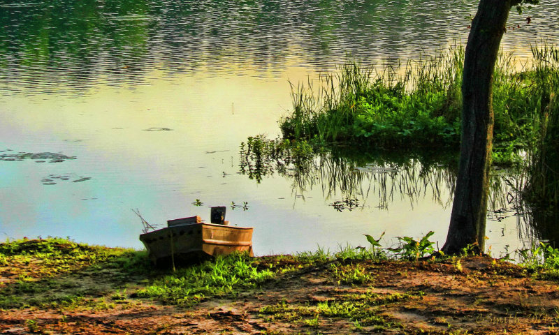 BEACHED BOAT