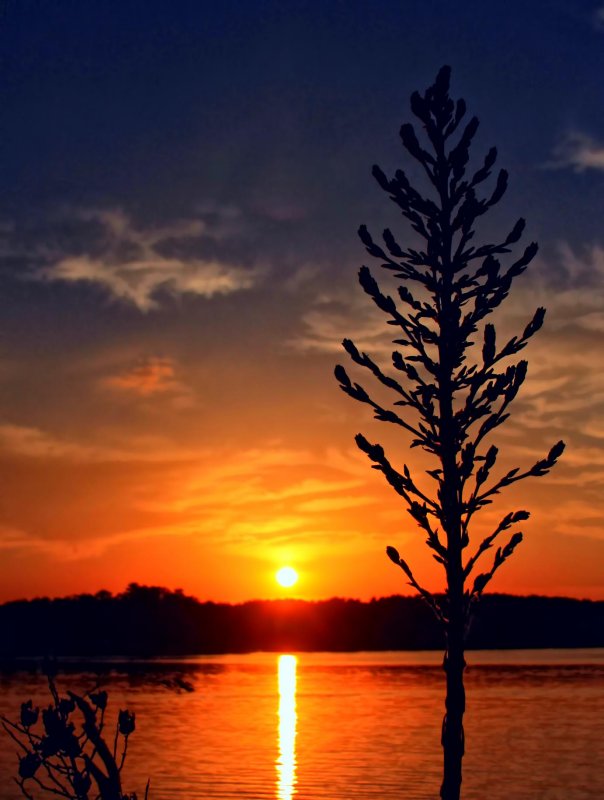 SUNSET ON LAKE HAWKINS