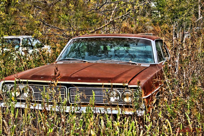 FORGOTTEN