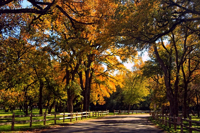 FALL AT THE GARDENS