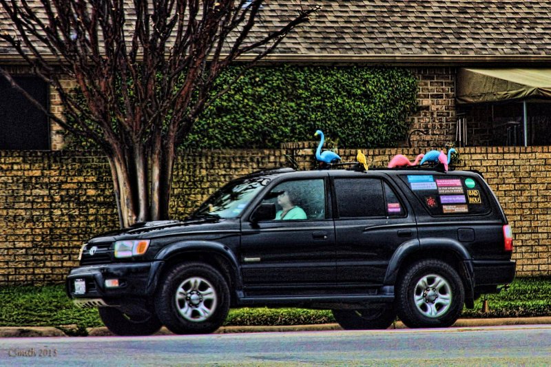 M IS FOR MOST - SHE WHO HAS THE MOST FLAMINGOS ON HER SUV WINS!