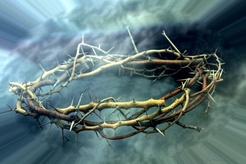 CROWN OF THORNS