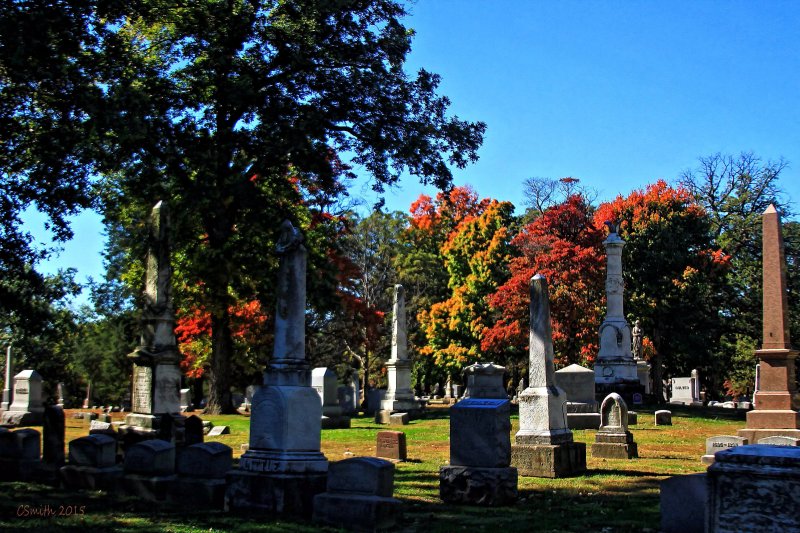 LINES OF GRAVES