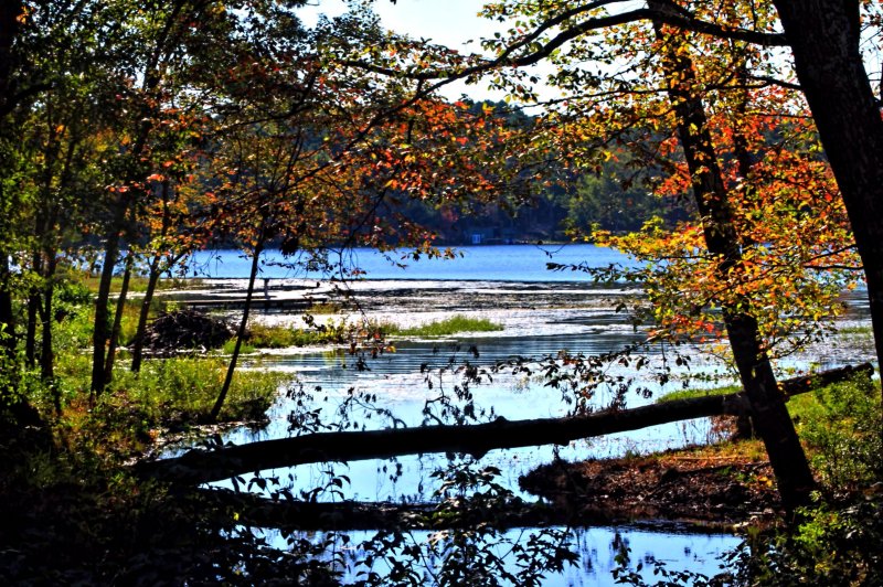 THE LAKE