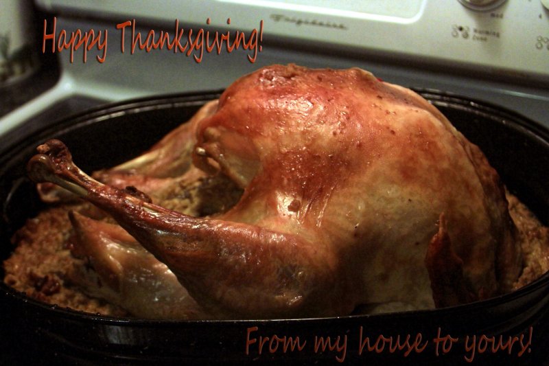 HAPPY THANKSGIVING!